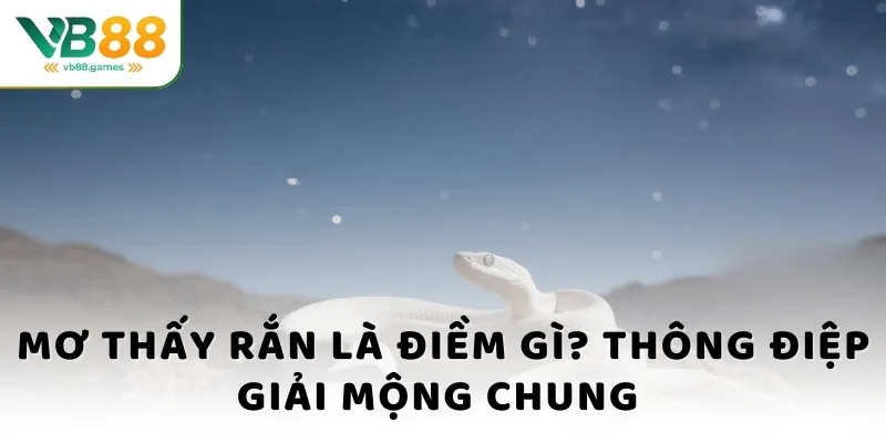 Mơ thấy rắn là điềm gì - Giải mộng chuẩn, chốt số siêu nhanh 3 Mơ thấy rắn là điềm gì? Thông điệp giải mộng về rắn đen