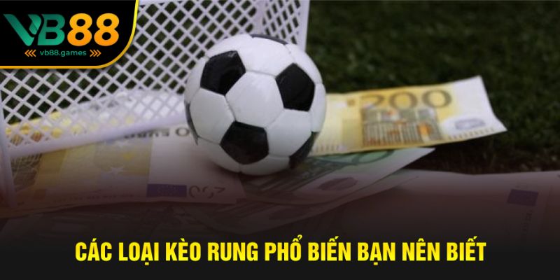 Bí Kíp Chơi Kèo Rung Chuẩn Xác Để Thắng Lớn Tại VB88 3 Một số loại kèo rung phổ biến